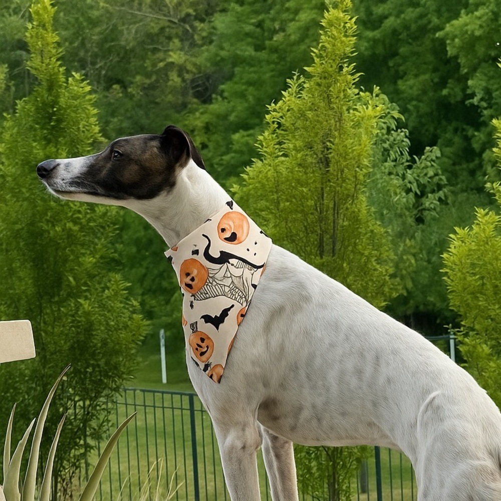 2/$15 Reversible black cat and pumpkin Halloween Dog Bandana